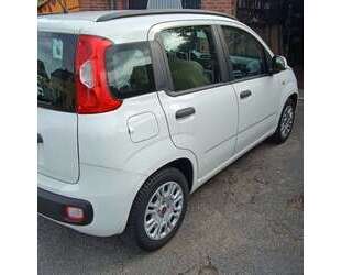 Fiat Panda Gebrauchtwagen