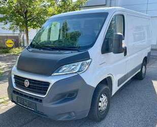 Fiat Ducato Gebrauchtwagen