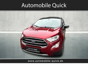 Ford EcoSport 1.0 Titanium X SD/Navi/R.-Kamera/Allwette Gebrauchtwagen