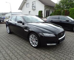 Jaguar XF 35t Portfolio Leder beige, Bi-Xenon, GSHD, Navi Gebrauchtwagen