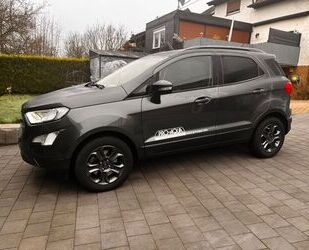 Ford Ford EcoSport 1,0 EcoBoost 92kW Trend Trend Gebrauchtwagen