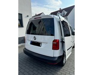 VW Volkswagen Caddy 2,0TDI Kamera 5-Sitze 2 Schiebetü Gebrauchtwagen