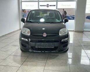 Fiat Fiat Panda 1.2 8V Klima eFH Tagfahrlicht ZV ESP AB Gebrauchtwagen