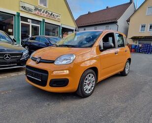 Fiat Fiat Panda 1.0 GSE Hybrid CITY PLUS 8-FACH+DAB+ Gebrauchtwagen