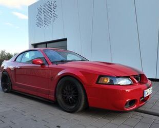 Ford Ford Mustang Cobra Terminator Gebrauchtwagen