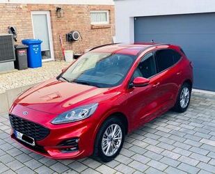 Ford Ford Kuga 2.5 Duratec PHEV ST-Line X CVT ST-Line X Gebrauchtwagen