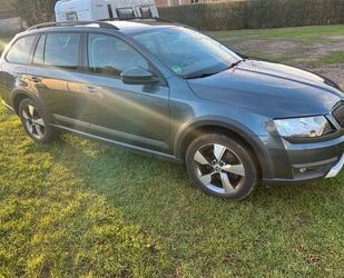 Skoda Skoda Octavia 2.0 TDI DSG 4x4 Scout Combi Scout Gebrauchtwagen