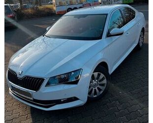 Skoda Skoda Superb 2.0 TDI CANTON Alcantara el. Sitz Mem Gebrauchtwagen