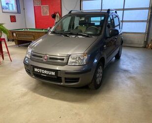 Fiat Fiat Panda 1.3 16V JTD Dynamic~Diesel~Klima~wenig Gebrauchtwagen