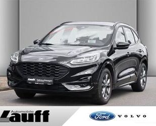 Ford Ford Kuga ST-Line 1.5l EcoBoost AHK GJR LED Gebrauchtwagen