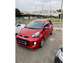 Kia Kia Picanto 1.0 Sensation! Gebrauchtwagen