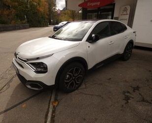 Citroen Citroën C4 X Leder Glasdach Gebrauchtwagen