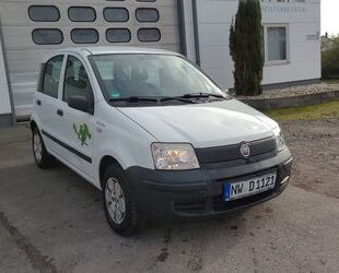 Fiat Fiat Panda 1.1 8V Active Gebrauchtwagen