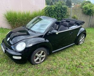 VW Volkswagen Schweller & Dach neu , New Beetle 2.0 C Gebrauchtwagen