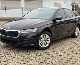 Skoda Skoda Octavia Lim. 2.0 TDI DSG Automatik Ambition Gebrauchtwagen