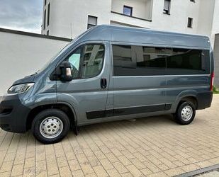 Fiat Fiat Ducato Luxusbus Panorama *9-Sitzer*Standheizu Gebrauchtwagen