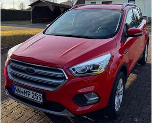 Ford Kuga Gebrauchtwagen