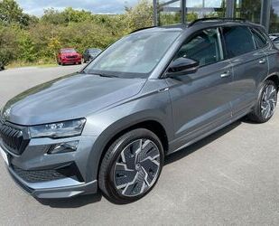 Skoda Skoda Karoq 2,0TSi Sportline 4x4 AHK Matrix 19