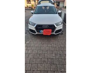 Audi Audi Q5 40 TDI quattro basis Gebrauchtwagen