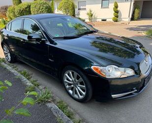 Jaguar Jaguar XF 3.0 V6 155kW Diesel Top Zustand Gebrauchtwagen