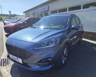 Ford Ford Kuga ST-Line X Gebrauchtwagen