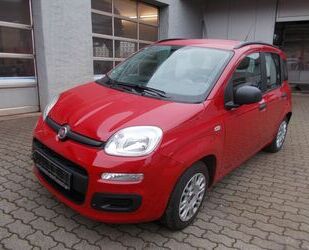 Fiat Fiat Panda Pop Gebrauchtwagen