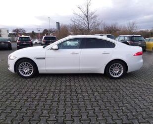 Jaguar Jaguar XF 2.0d Pure Autom+Navi+Standhzg+Cam+PDC+1. Gebrauchtwagen