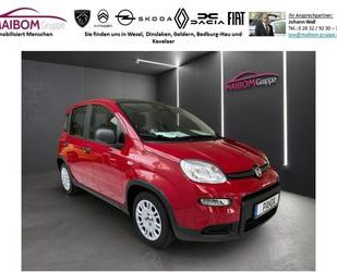 Fiat Fiat Panda 1.0 GSE Hybrid City-Paket Gebrauchtwagen