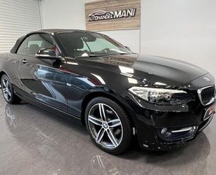 BMW BMW 218i Baureihe 2 Cabrio Sport Line/PDC/Kamera/1 Gebrauchtwagen