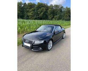 Audi Audi A5 2.0 TDI (DPF) Cabriolet - Gebrauchtwagen