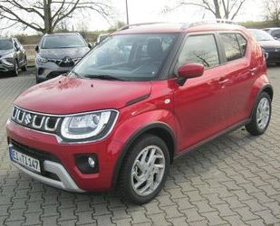 Suzuki Suzuki Ignis 1,2 Comfort CVT Hybrid Gebrauchtwagen