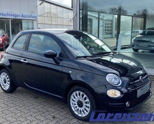 Fiat Fiat 500 Lounge Mild Hybrid 1.0 Navi Apple CarPlay Gebrauchtwagen