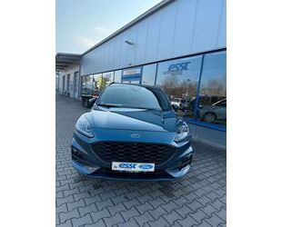 Ford Ford Kuga Plug-In Hybrid ST-Line X 20 Zoll Kamera Gebrauchtwagen