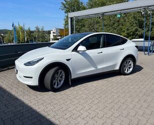 Tesla Tesla Tesla Model Y - LR AWD - 8 fach - AHK - 10.2 Gebrauchtwagen