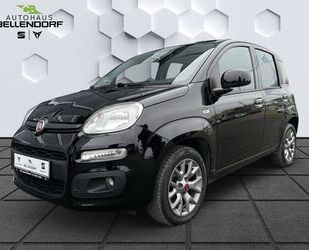 Fiat Fiat Panda Lounge 1.2 5 Gang Klima PDC hinten DAB Gebrauchtwagen