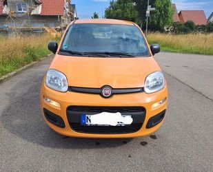 Fiat Fiat Panda Easy 1.2 51 kw 69PS E6D TEMP Gebrauchtwagen