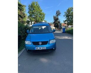 VW Volkswagen Caddy Life 1.9 TDI 77kW 5-Sitzer DPF Fa Gebrauchtwagen