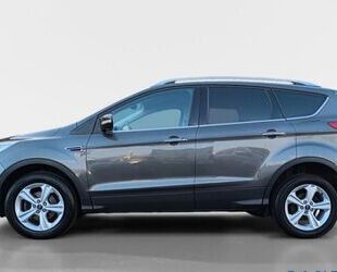 Ford Ford Kuga 1,5 EcoBoost 2x4 110kW SYNC Edition SYN. Gebrauchtwagen