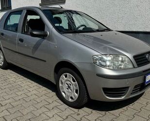 Fiat Fiat Punto 1.2 Active 4-Türer/1-Hand/Allwetter/Tüv Gebrauchtwagen