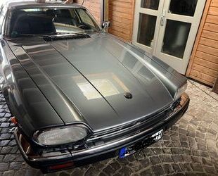 Jaguar XJS Gebrauchtwagen