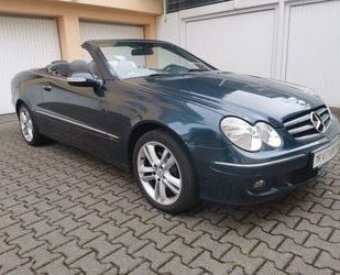 Mercedes-Benz Mercedes-Benz CLK 200 Kompressor Cabrio Scheckhef Gebrauchtwagen