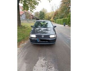 VW Volkswagen Polo 6n1, Klima, Servo, 5 Türen, TÜV 03 Gebrauchtwagen