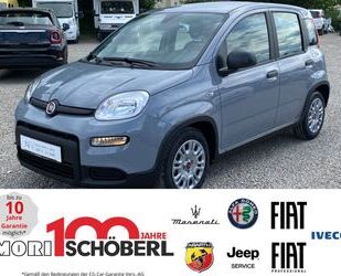 Fiat Fiat Panda MY23 Hybrid 1.0 GSE Gebrauchtwagen