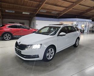 Skoda Skoda Octavia 1.6 TDI Business PANO MOPF Gebrauchtwagen