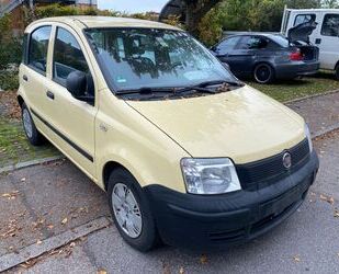 Fiat Fiat Panda 1.1 8V - Gebrauchtwagen