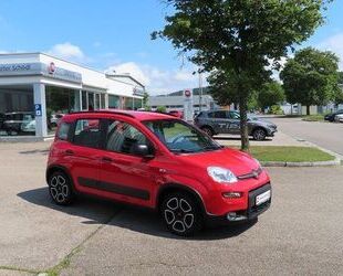 Fiat Fiat Panda City Life 1,0 Mild Hyb 70PS, Beheizte W Gebrauchtwagen