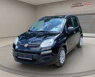 Fiat Fiat Panda My , Klima , Gebrauchtwagen