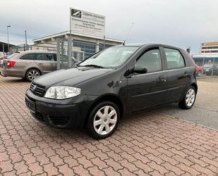 Fiat Fiat Punto 1.2 8V Ciao *TÜV-11/2026*Klima* Gebrauchtwagen