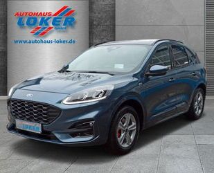 Ford Ford Kuga ST-Line X ASSISTENZ PKT LED PANO AHK B&O Gebrauchtwagen