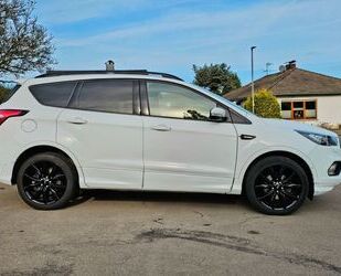 Ford Ford Kuga 1,5 EcoBoost 4x2 110kW ST-Line ST-Line Gebrauchtwagen